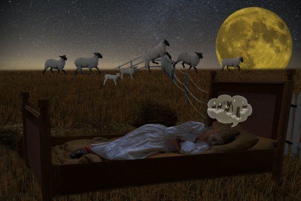 Sonno: un alleato fondamentale della nostra salute – Parte 2